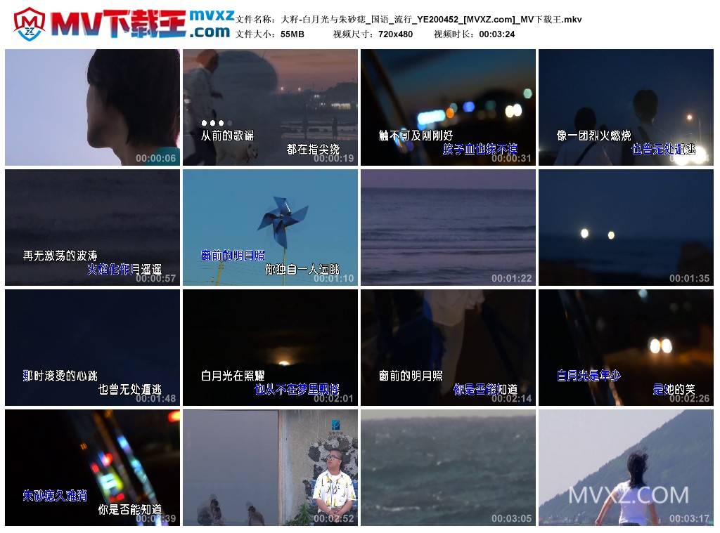 大籽-白月光与朱砂痣_国语_流行_YE200452